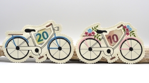 Stickdatei-ITH-Fahrrad-Geldgeschenk-Fllobjekt-Wunscherfller