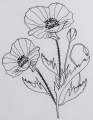 Bild 2 von Stickdatei Mohn Mohnblume Redwork 3 Größen