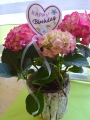 Bild 2 von ITH Stickdatei Blumenstecker  Geburtstag Happy Birthday