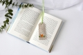 Bild 5 von Stickdatei kleine Schnecke