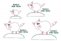 Bild 4 von Stickdatei doodle Schwein