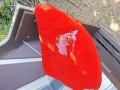 Bild 8 von Stickdatei Delfin mit Blumen