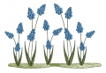 Bild 1 von Stickdatei Traubenhyazinthen kleines SET