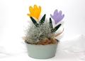Bild 2 von Stickdatei ITH Krokus Frühling Stabstickdatei