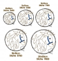 Bild 2 von Stickdatei Pferd doodle verschiedene Größen
